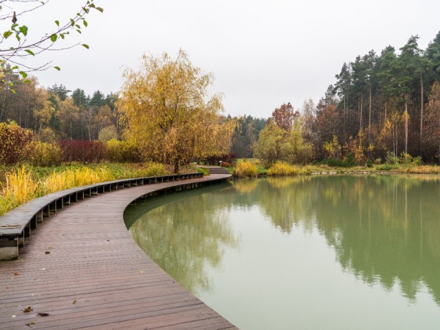 Обновление набережной Травинского озера завершат в Пушкино к 30 ноября