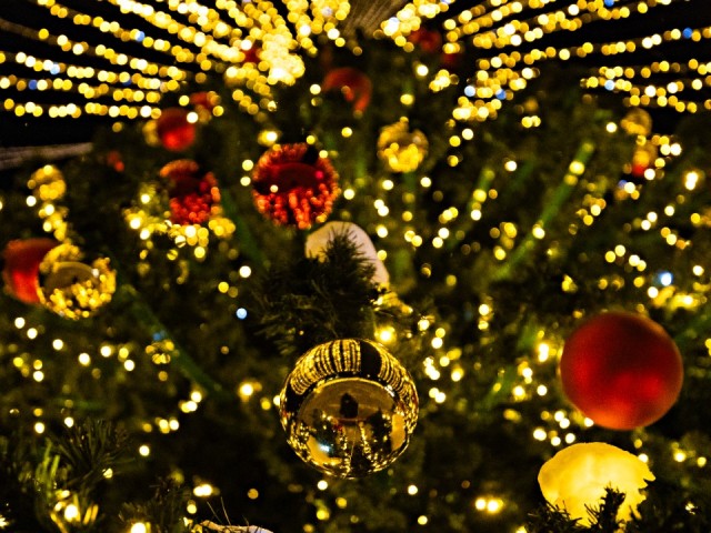 Новогоднее чудо в центре города: рабочие монтируют праздничную елку