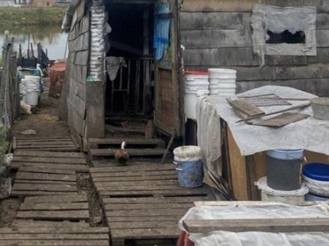 Незаконная постройка — под снос: почему власти и экологи требуют убрать склад на берегу реки в Федоскинском