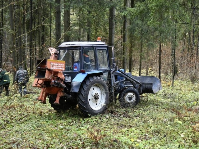 Истринский лес «задышал»: 200 добровольцев «вылечили» его от мусора