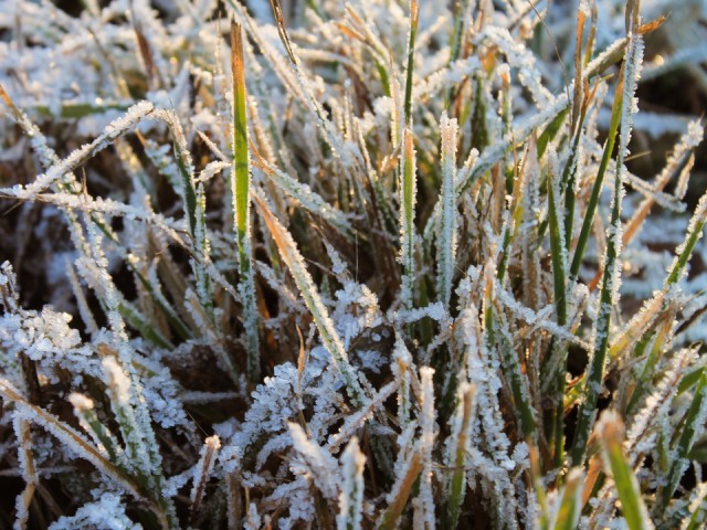 Зима близко: в Подмосковье похолодает уже через считанные дни