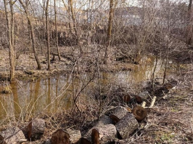 Бесплатная переправа в деревни Калянино: кто и зачем построил дорогу через реку, не спросив разрешения у Минэкологии