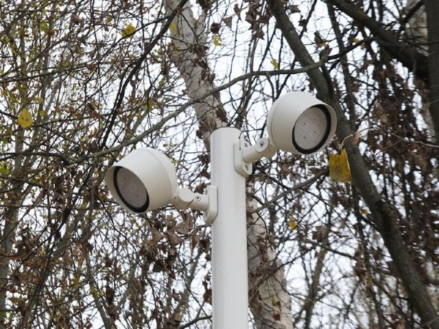 Темнота в Кузьминском лесопарке: что случилось с освещением и когда его включат