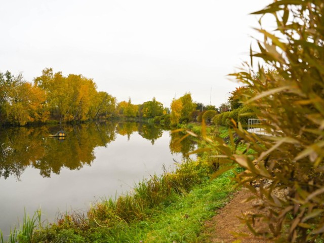 Жители могут помочь решить судьбу четырех прудов Ленинского округа
