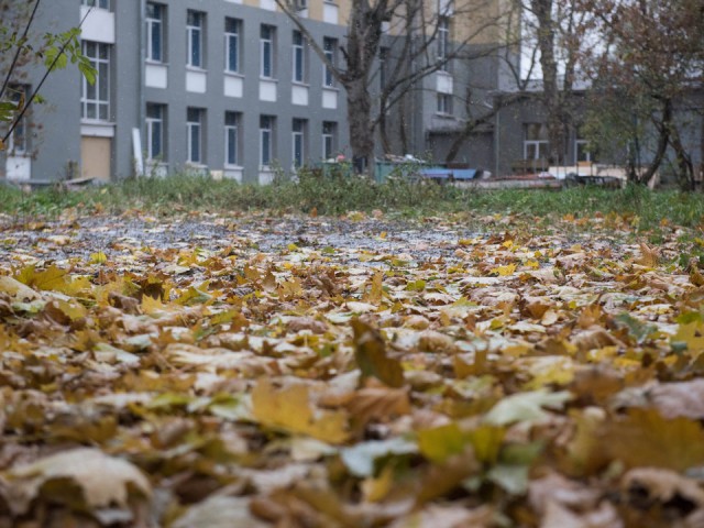 Синоптики назвали, когда будет последний теплый день этой осени в Подмосковье