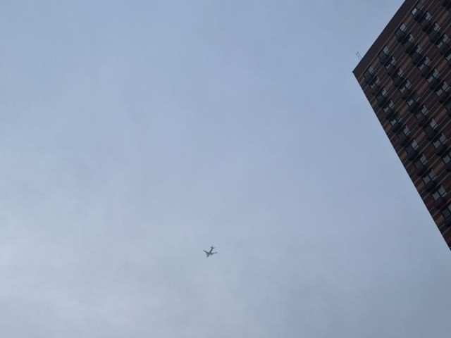 План «ковер» в Шереметьево: почему в аэропорту ввели ограничения