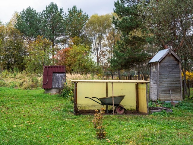 Почему пионы нельзя обрезать до первых заморозков и как подготовить растения к зиме