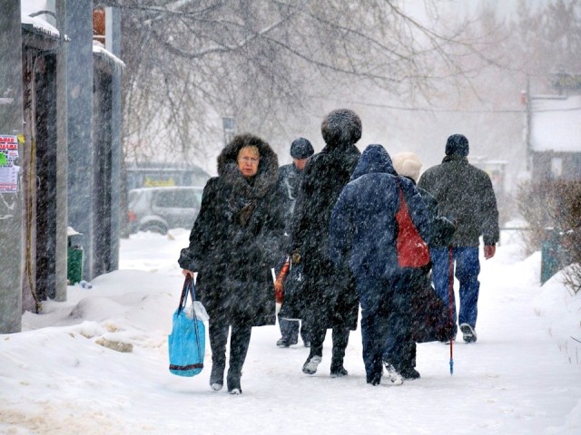 Последний день тепла перед зимой в Подмосковье будет 28 ноября 2025 года