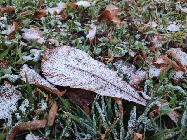 После этих выходных в Подмосковье придет циклон и принесет крепкие морозы