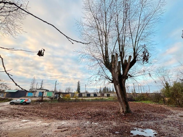 Пять аварийных домов в поселке Тучково отправились на покой: что появится на освободившейся земле?