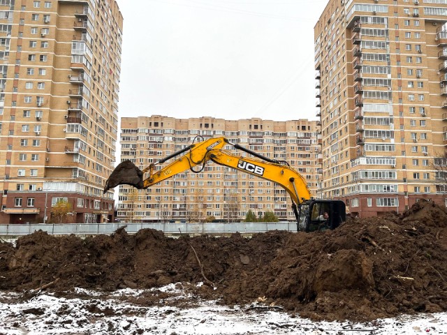 От обрезки деревьев до нового детсада: о чем говорили с жителями микрорайона Восточный