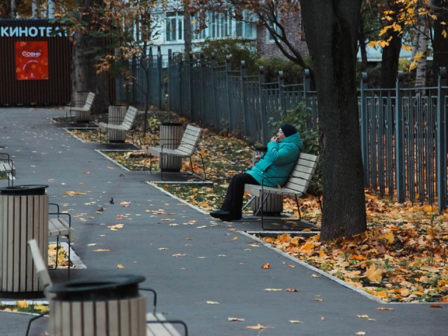 Что появится на месте спиленных деревьев в парке Детский городок
