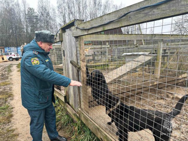 Их миссия — спасать: пожарные Можайска оказали помощь приюту для животных