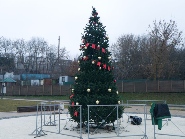 Каширян приглашают на набережную полюбоваться установленной новогодней елкой