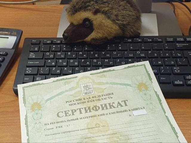 Образование — в приоритете: как семьи Клинского округа распорядились региональным маткапиталом в 2025 году