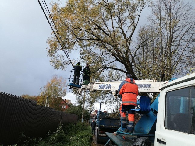 Новая прическа для березки: опасные деревья и кустарники привели в порядок в Истре