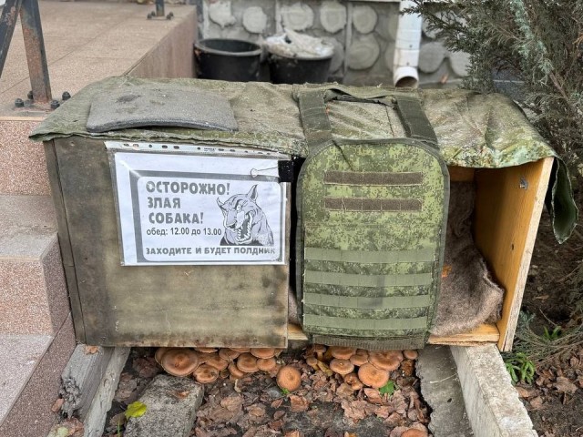 Собак в бронежилетах и бронированные будки в зоне СВО сфотографировал подмосковный депутат