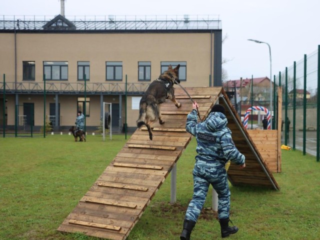 Собаки в строю: в Лотошине открылся Центр кинологической службы ОМВД