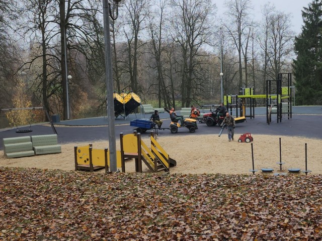 Жителей Мытищ просят воздержаться от прогулок на собачьей площадке в лесопарке