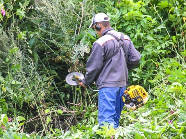 Затяжная осень: каширяне стали оставлять обращения на покос травы в ноябре