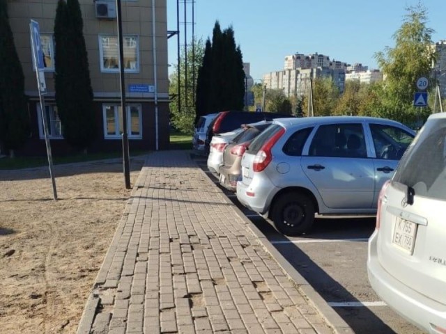 Асфальт vs плитка: почему жители 43 округов Подмосковья просят заменить покрытие и что ждет исторические центры городов