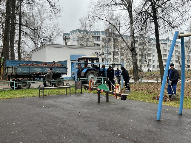 Детские площадки Запрудни за несколько дней избавят от опавшей листвы