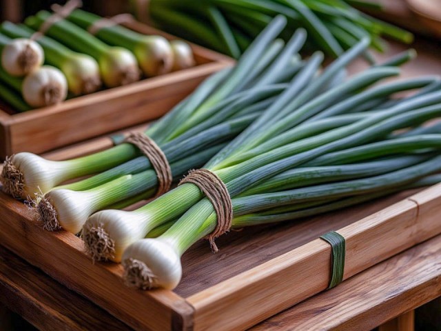 Как правильно вырастить сочный зеленый лук на подоконнике