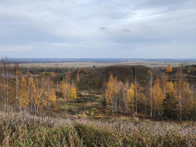 Какая погода ожидает жителей Подмосковья во вторник, 11 ноября