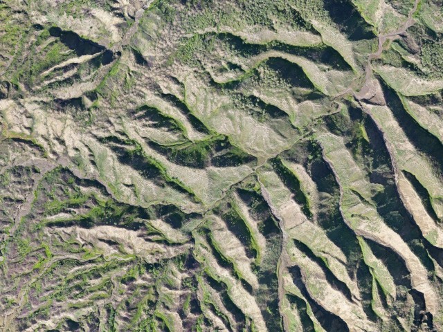 «Плейстоценовый хаки»: ученые из Пущина «открыли» еще один новый цвет