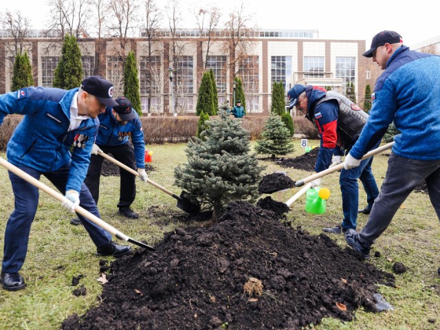Деревья для героев: почему новую Аллею Славы в Химках открыли рядом с истребителем Ла-5