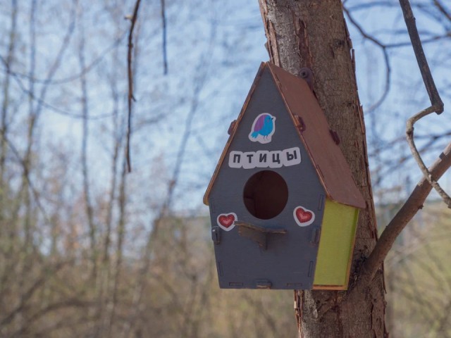 Синичкин день и осенний движ: бесплатный досуг для жителей подготовили парки Орехово-Зуева