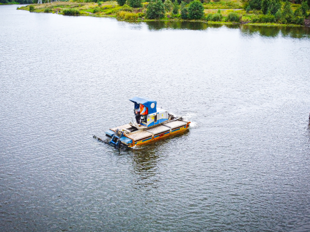 Фрязинцы могут проголосовать за санитарную очистку Большого озера