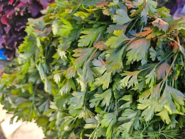 Как вырастить свежую зелень на подоконнике: секреты жительницы Шаховской