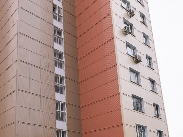 Подъезд с историей: как рисунок о судьбе бывшего беспризорника из Егорьевска стал сенсацией