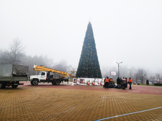 Пущино готовится к волшебству: гигантская елка, «Таблетка» и снежные сюрпризы