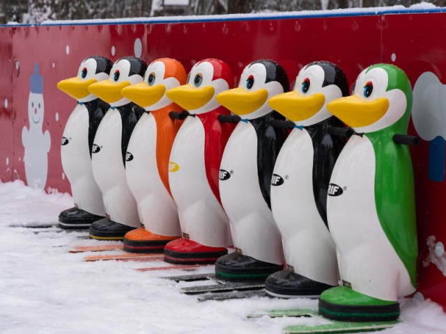 Зима близко: правила безопасного пингвиньего шага напомнила терапевт Красникова