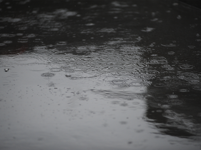 Дождь весь день и пронизывающий ветер: синоптики рассказали, какой будет погода на День народного единства