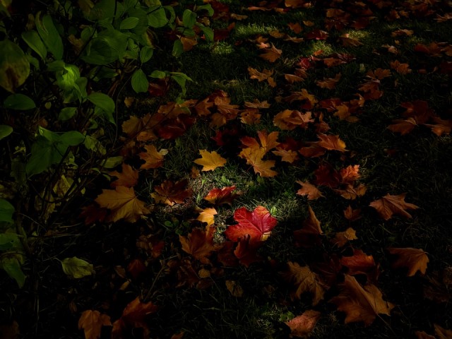 Топ-5 важных покупок на осень и зиму: готовим дом и себя к холодам в Черноголовке