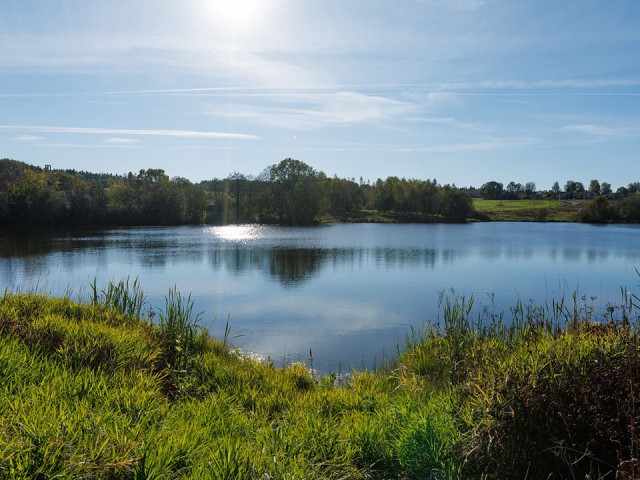 Жители Подмосковья выбирают водоемы, которые нужно почистить в 2026 году