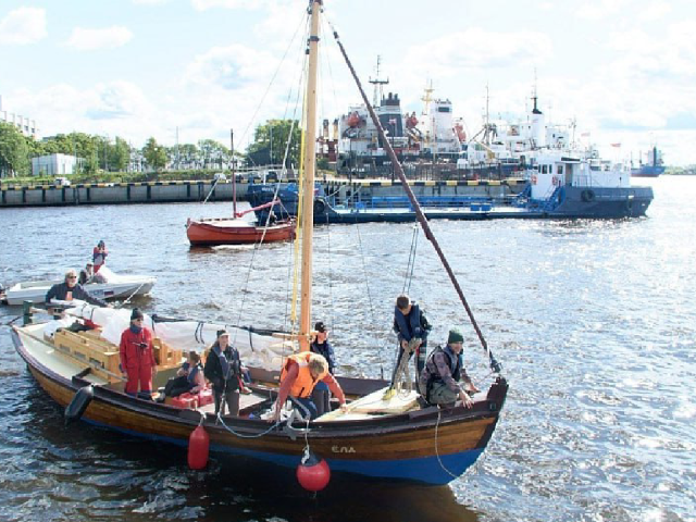 В Архангельске открыли выставку с елой, прошедшей маршрут из Дубны до Белого моря