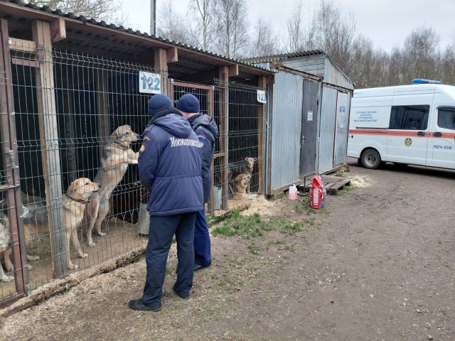 Пожарные в роли добрых волшебников: как спасатели поддержали приют для животных в Ямкино