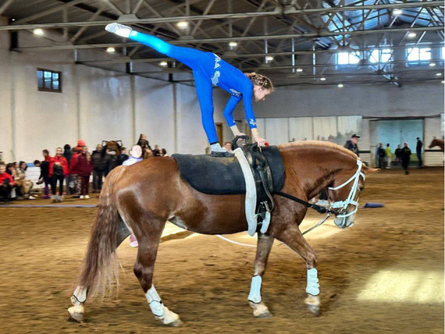 Спортсмены из Котельников взяли девять медалей на региональном турнире по вольтижировке