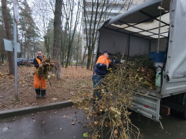 На улице Гагарина убрали скопившиеся сухие ветки между домами 6 и 8