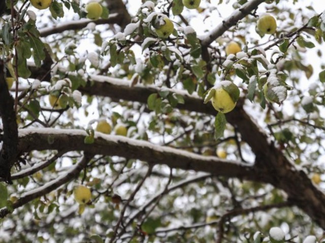 Подмосковье завалит снегом в этот день