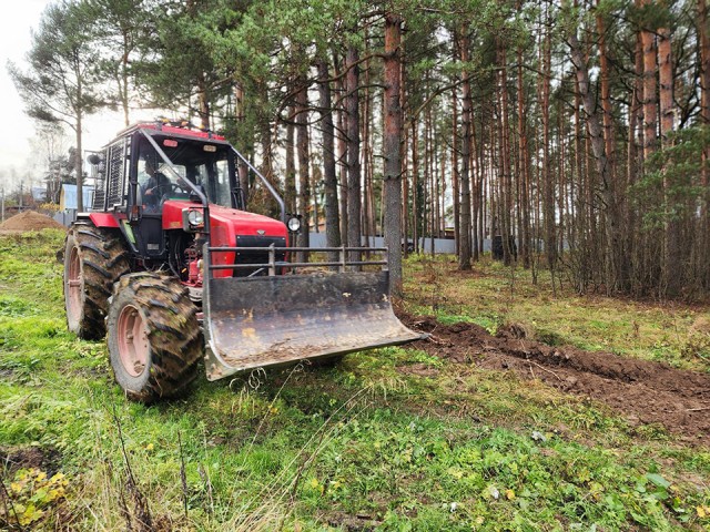 Лесопарк «Загорское море» защитили от лесных пожаров и палов травы в будущем
