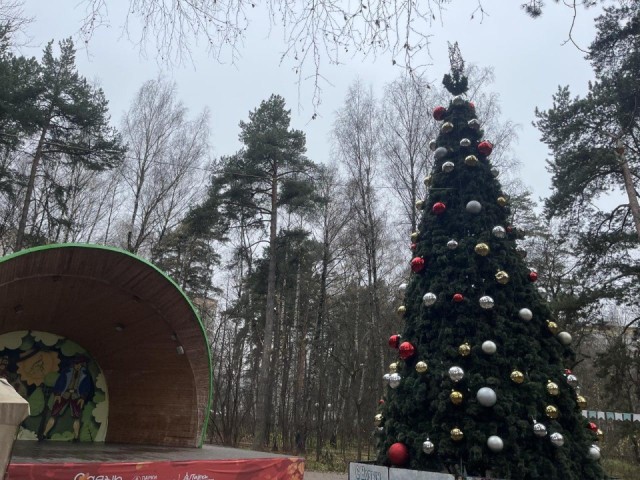 Город в огнях: чем удивит Красногорск жителей на Новый год