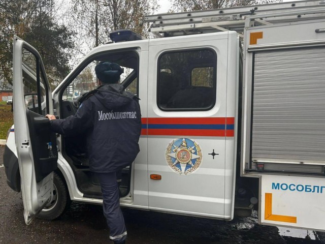 Спасатели освободили кошку, застрявшую в бетонной плите в Волоколамске