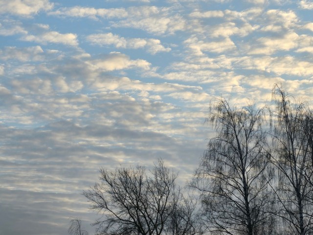 Какой в Подмосковье будет погода в первые три дня декабря