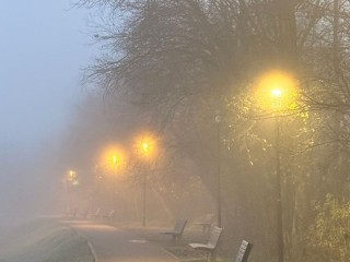 Не выносите мусор после заката 13 ноября в Никодимов день: иначе рискуете выбросить свое счастье