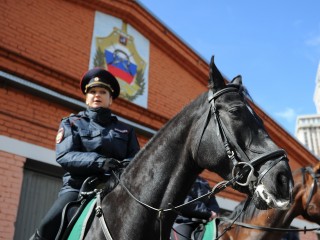 Что отметить сегодня: праздники и памятные даты 10 ноября 2025 года